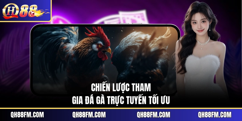 Chiến lược tham gia đá gà trực tuyến tối ưu