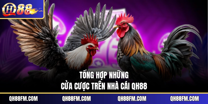 Tổng hợp những cửa cược trên nhà cái QH88